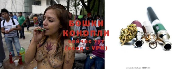 сатива Баксан