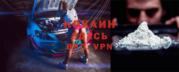 сатива Баксан