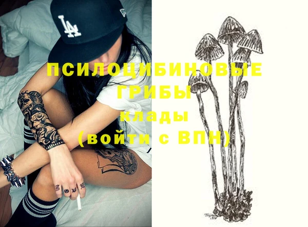 сатива Баксан