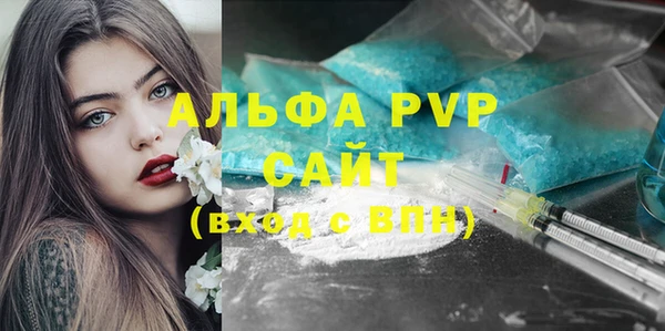 сатива Баксан
