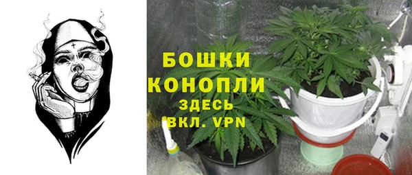 сатива Баксан