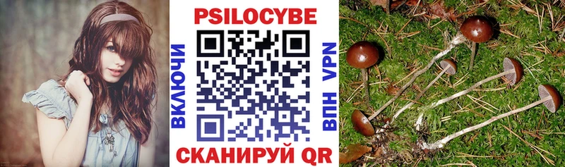 Галлюциногенные грибы Psilocybe  нарко площадка официальный сайт  Ершов  закладка 