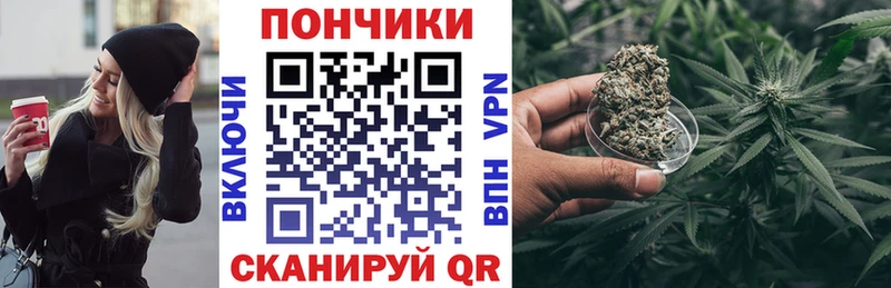 Конопля ГИДРОПОН  дарнет шоп  Ершов 